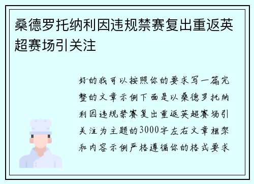 桑德罗托纳利因违规禁赛复出重返英超赛场引关注