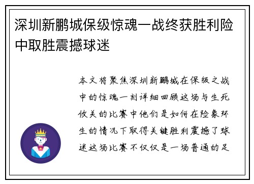 深圳新鹏城保级惊魂一战终获胜利险中取胜震撼球迷 深圳新鹏城保级惊魂一战终获胜利险中取胜震撼球迷